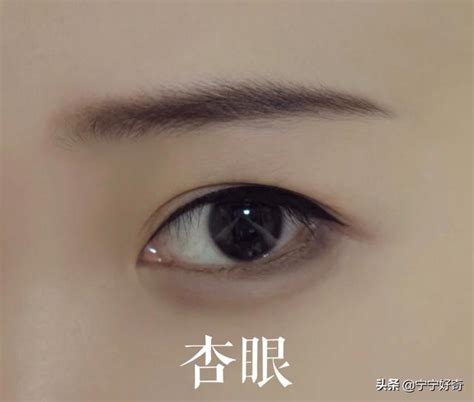 杏眼桃花眼怎麼分|桃花眼，丹鳳眼，瑞鳳眼，傳統眼型盤點